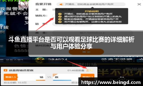斗鱼直播平台是否可以观看足球比赛的详细解析与用户体验分享