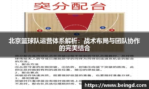 北京篮球队运营体系解析：战术布局与团队协作的完美结合